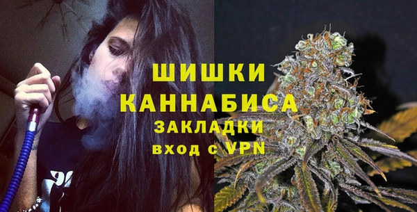 PSILOCYBIN Няндома