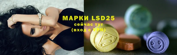 PSILOCYBIN Няндома