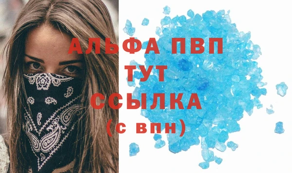 PSILOCYBIN Няндома