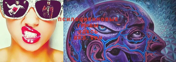 PSILOCYBIN Няндома
