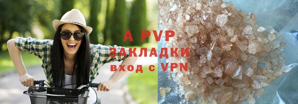 PSILOCYBIN Няндома