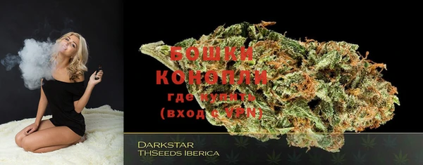 PSILOCYBIN Няндома