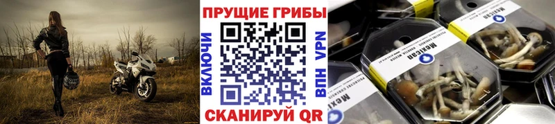 Галлюциногенные грибы Magic Shrooms  Киренск 